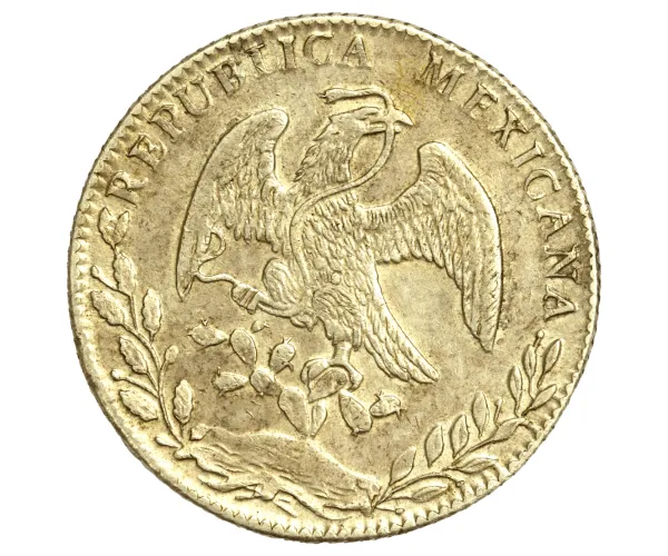 Münzsammlung verkaufen