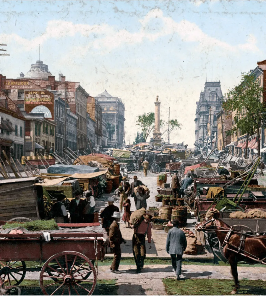 Sammlerstücke Ankauf